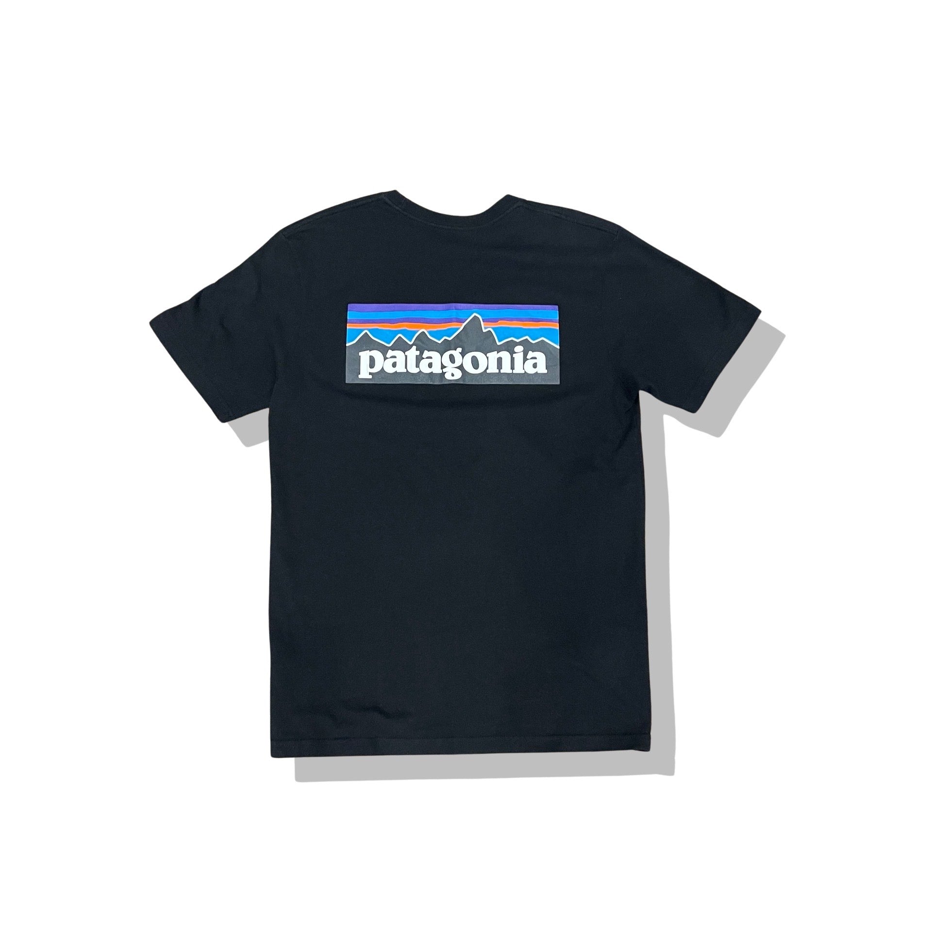 Patagonia t shirts