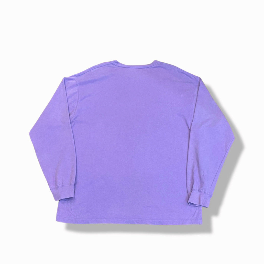 Nike acg  Long sleeve Tee